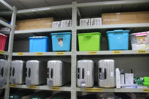 進博會,閔行的防疫怎么做 看,獨家揭秘