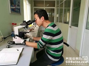 正典球苗技術服務團隊 專業力量走出國門，賦能全球客戶養殖新高度